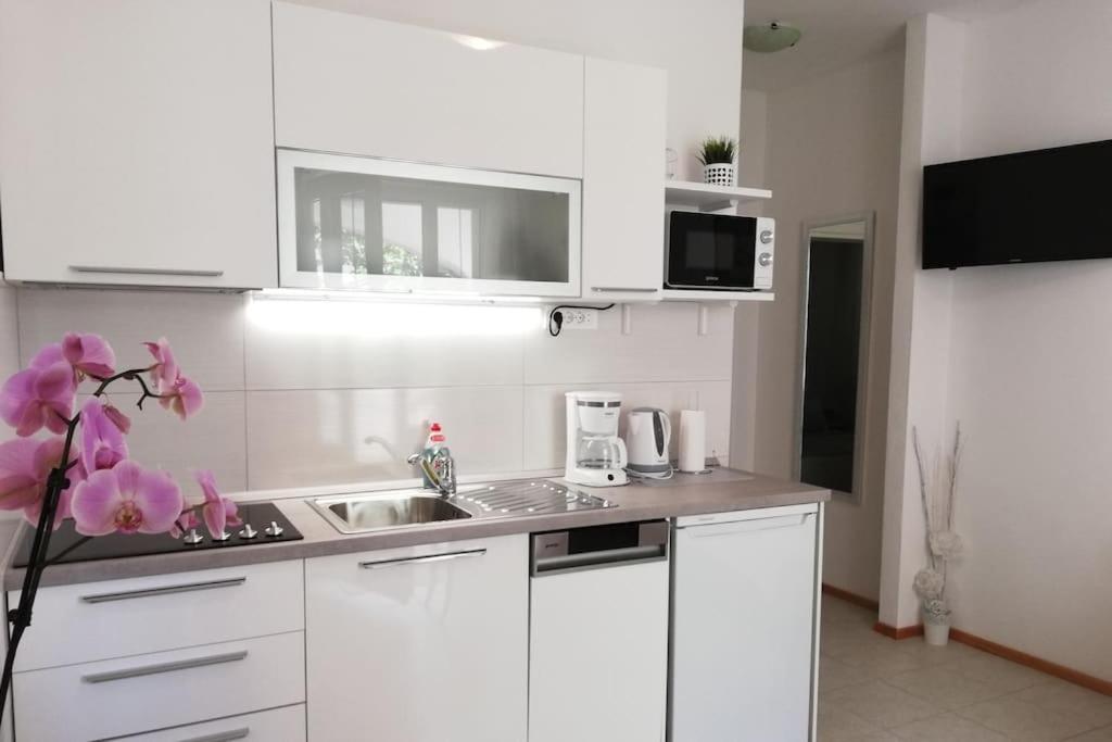Apartments Regina 波尔 外观 照片