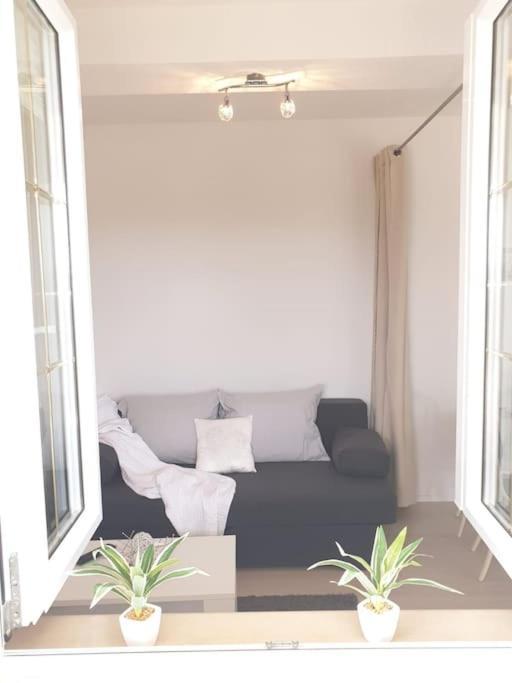 Apartments Regina 波尔 外观 照片