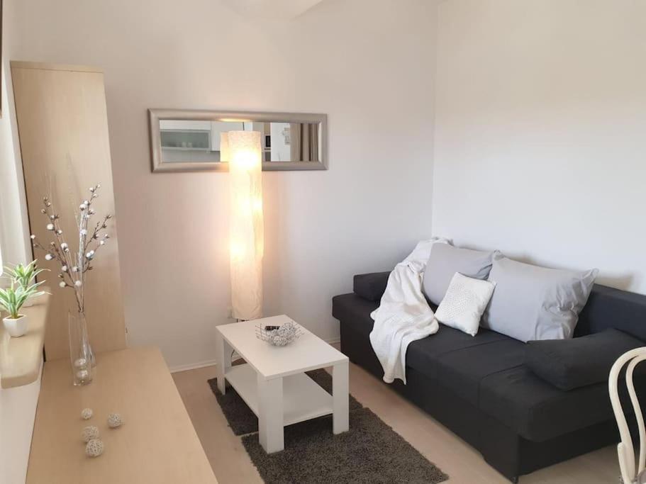 Apartments Regina 波尔 外观 照片