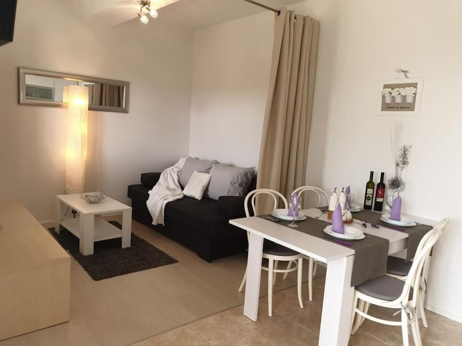 Apartments Regina 波尔 外观 照片
