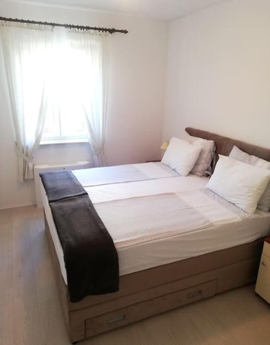 Apartments Regina 波尔 外观 照片