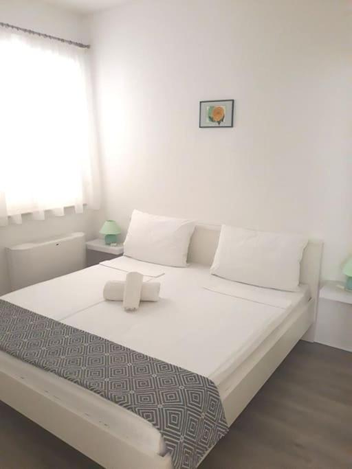 Apartments Regina 波尔 外观 照片