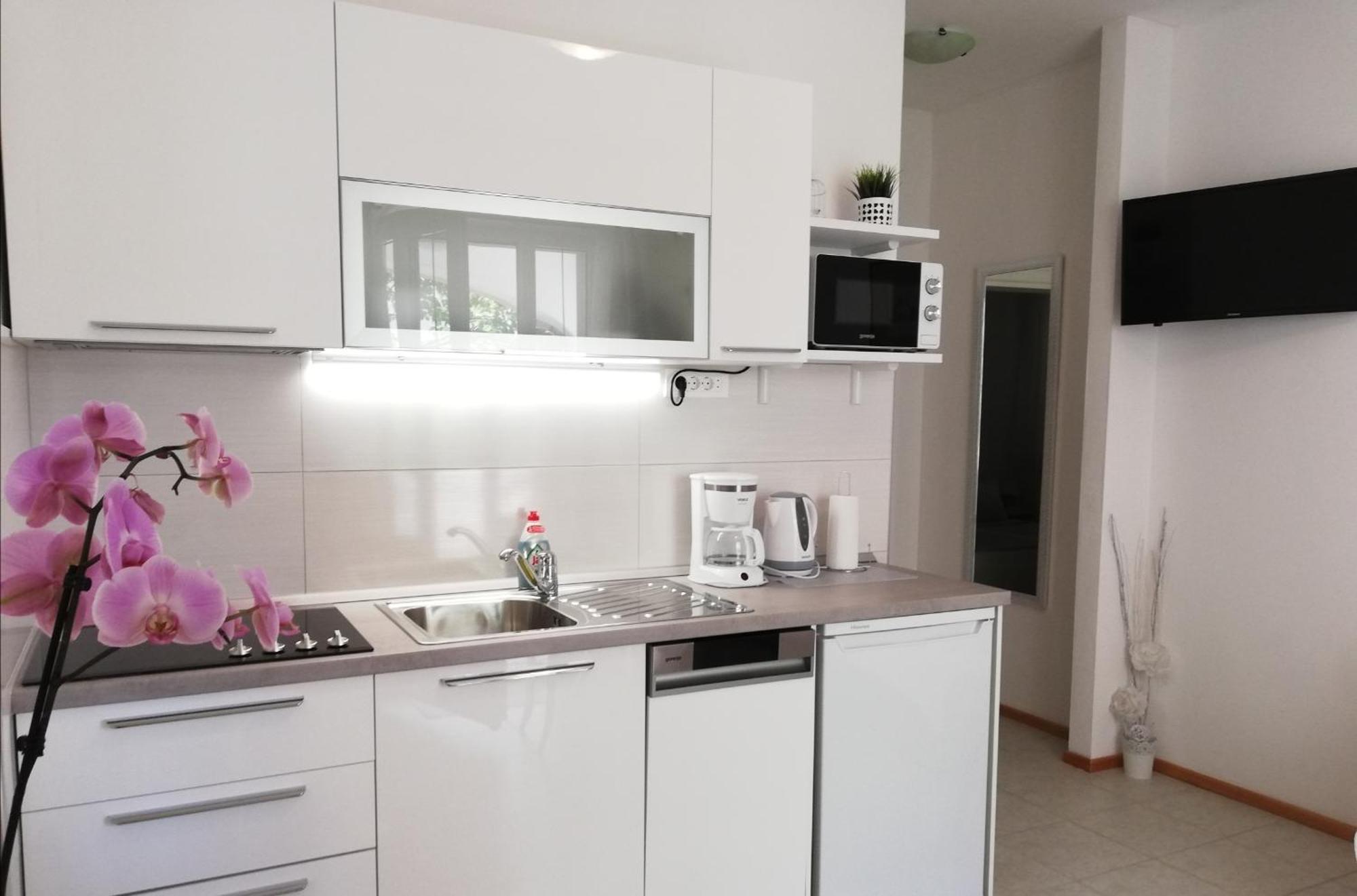 Apartments Regina 波尔 外观 照片
